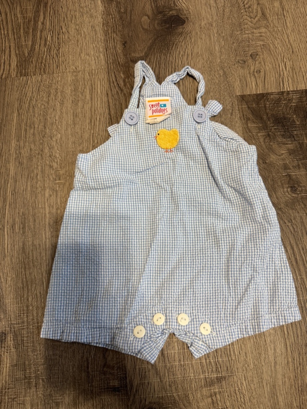 Vintage Blue Gingham Baby Romper with Chick Applique